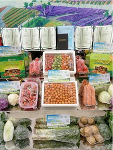 首屆金昌農產品展覽會圓滿落幕 初加工食用農產品引領農業新風向