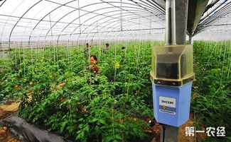 智慧農(nóng)業(yè)新藍(lán)圖 福建推進(jìn)生產(chǎn)智能化 政策紅利助力產(chǎn)業(yè)升級(jí)