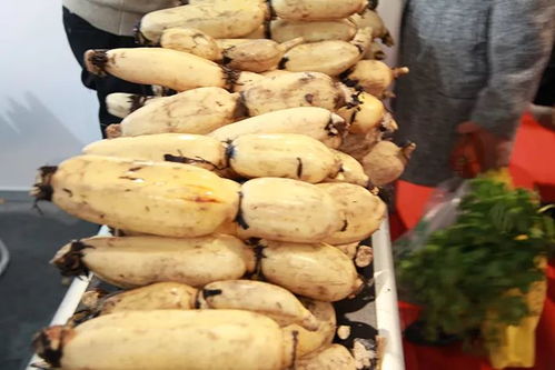 冬節大如年，團圓時節品珍饈——江蘇農民合作社農產品年度盛會收官在即